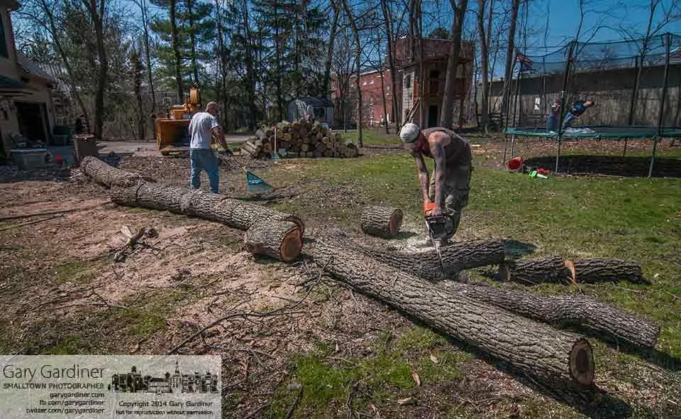 Affordable lawn care service experts serving Westerville, OH - M & E Tree Service