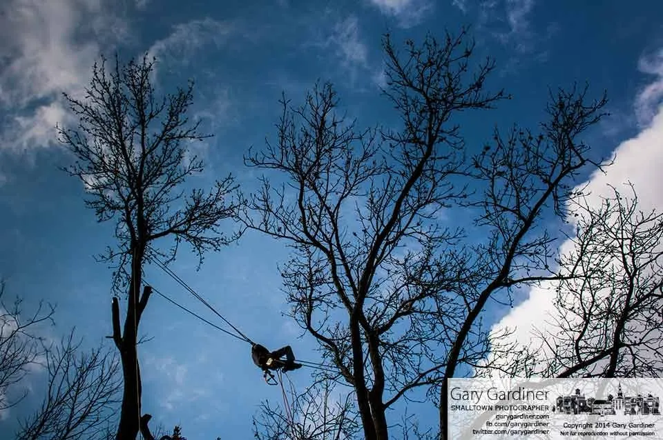 Local outdoor landscaping experts serving Westerville, OH - M & E Tree Service