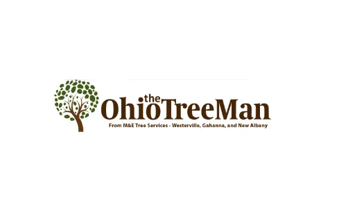 Top-rated yard maintenance in Westerville, OH by M & E Tree Service