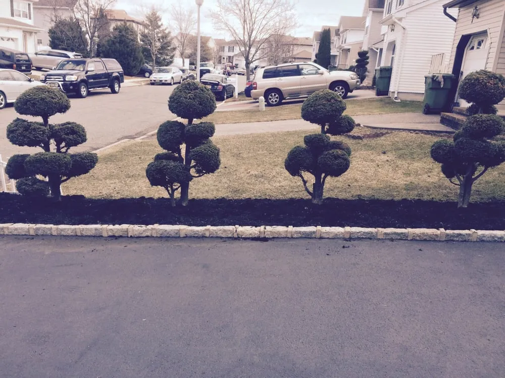 Expert yard cleanup service in Union Beach, NJ by M & G Landscaping and Construction