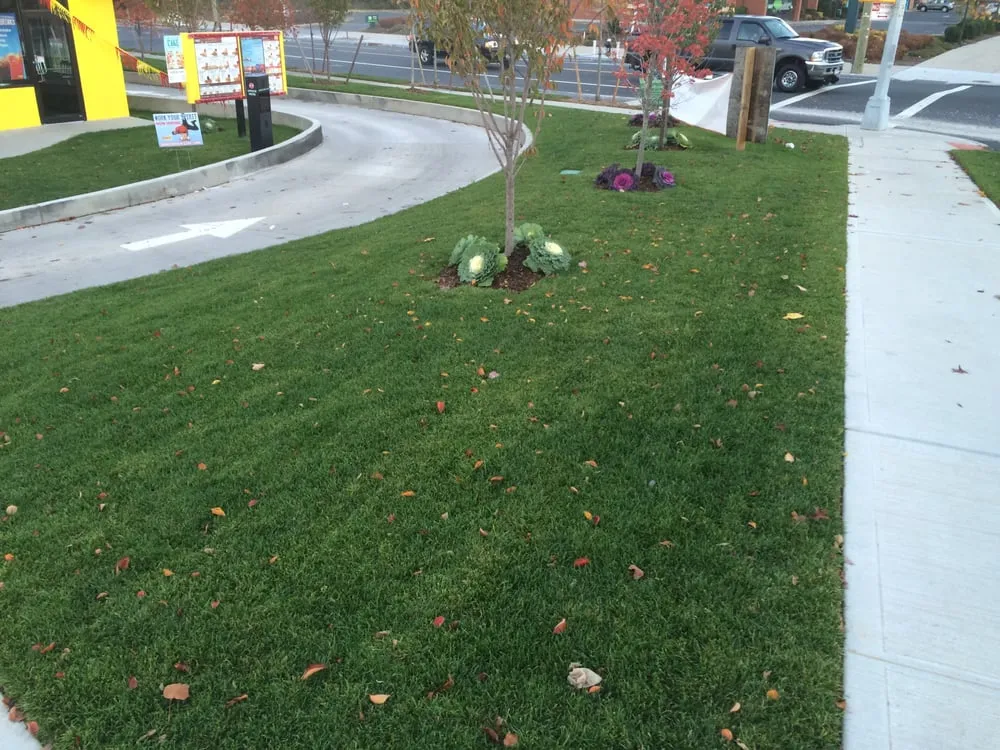 Professional yard cleanup service near you in Union Beach, NJ by M & G Landscaping and Construction