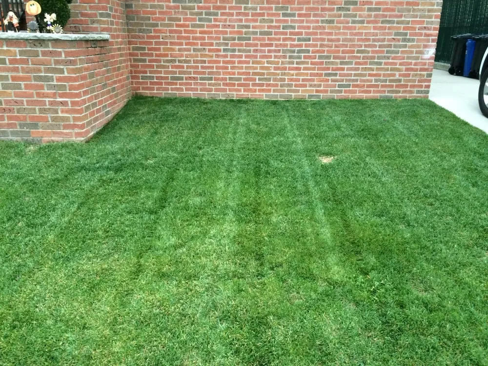 Local outdoor landscaping for homes in Union Beach, NJ by M & G Landscaping and Construction