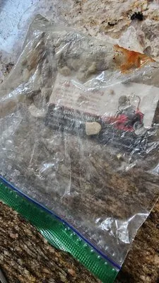 M & G Landscaping Logo