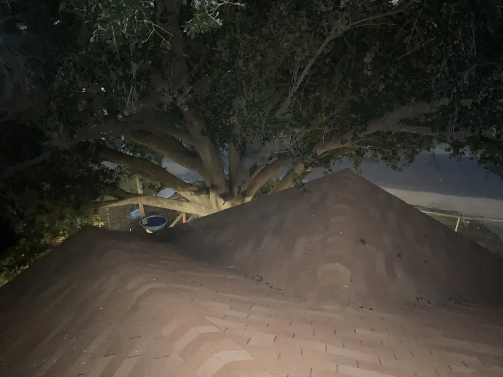 Trusted lawn care service in Pharr, TX - M & G Landscaping