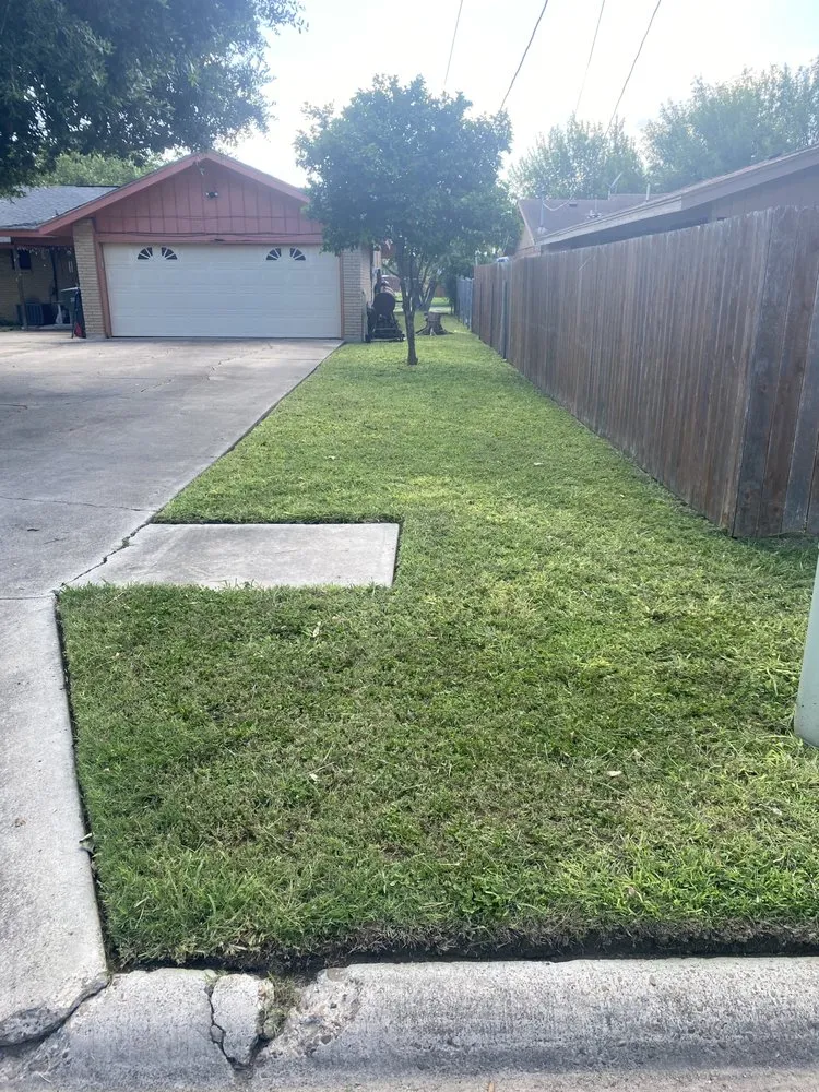 Professional yard maintenance in Pharr, TX by M & G Landscaping