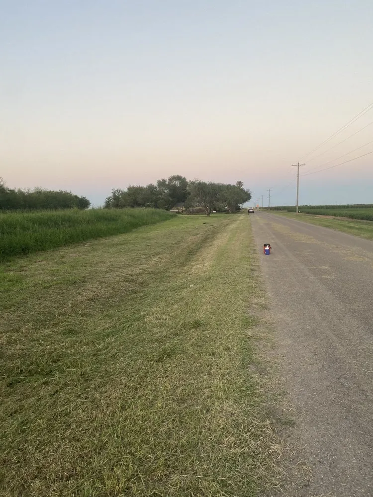 Professional yard maintenance in Pharr, TX - M & G Landscaping