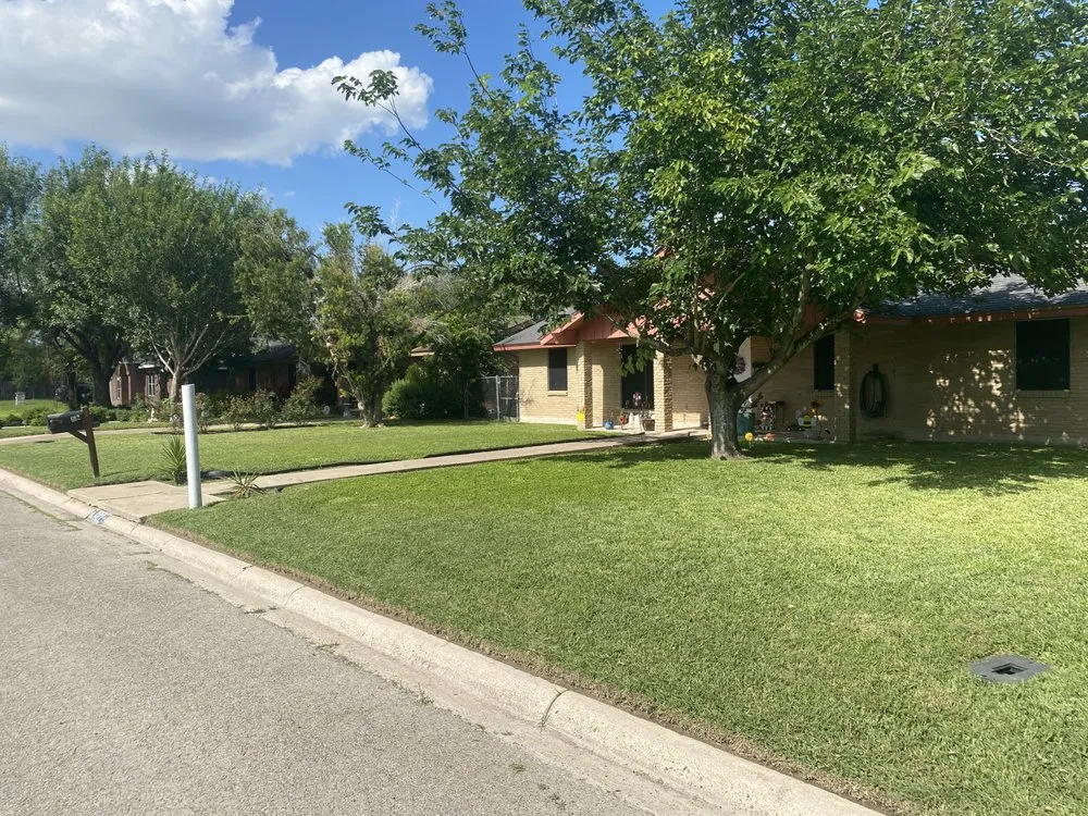 Professional landscape installation experts serving Pharr, TX - M & G Landscaping