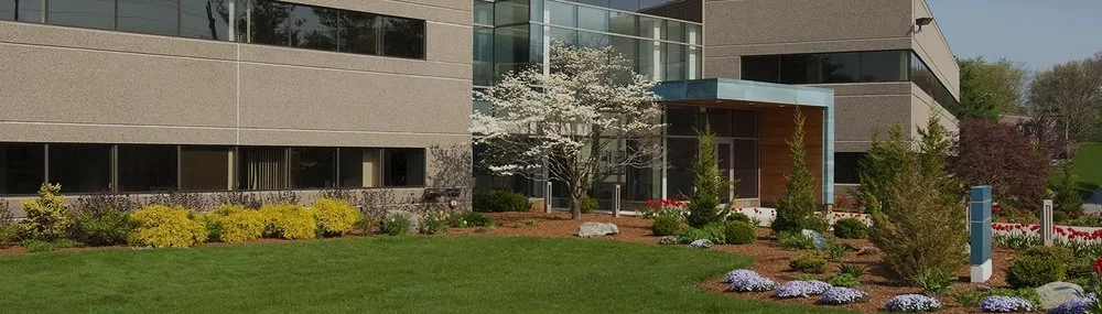 Trusted lawn care service experts serving San Antonio, TX - M & H Landscapes and Irrigation