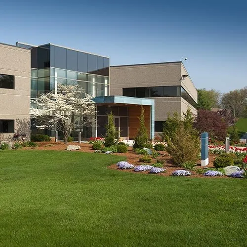 Expert lawn care service in San Antonio, TX - M & H Landscapes and Irrigation