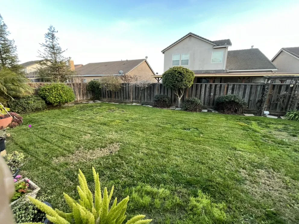 Top-rated yard cleanup service experts serving Newman, CA - M & H Landscaping