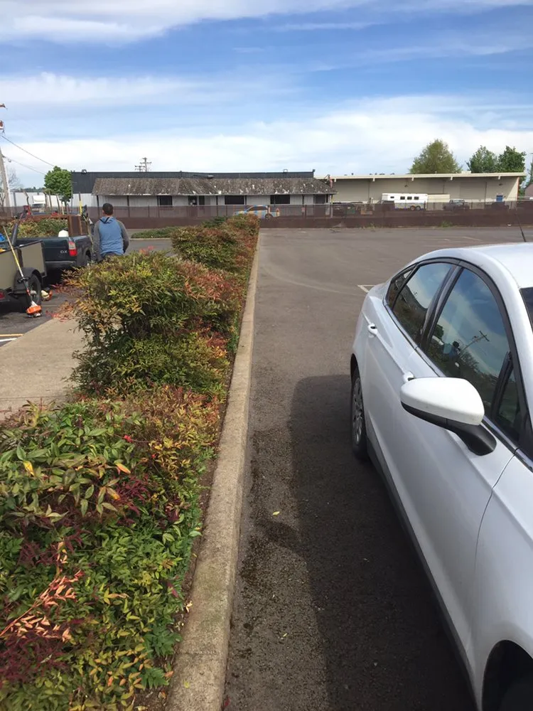 Affordable yard cleanup service in Springfield, OR - M & I Lawn and Landscape