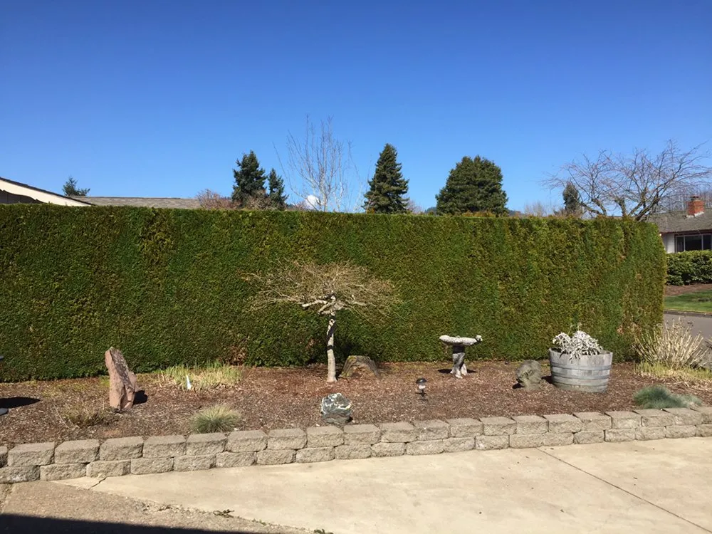 Professional outdoor landscaping in Springfield, OR by M & I Lawn and Landscape
