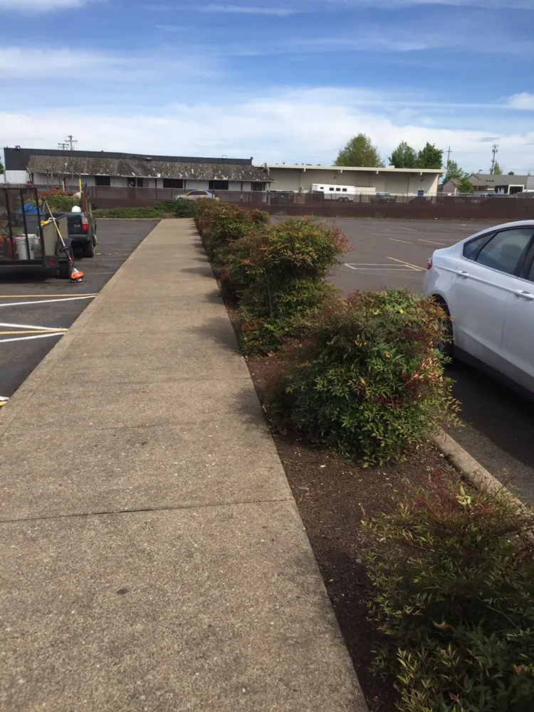 Trusted landscaping services experts serving Springfield, OR - M & I Lawn and Landscape