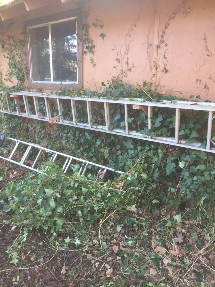 Trusted outdoor landscaping in Springfield, OR by M & I Lawn and Landscape