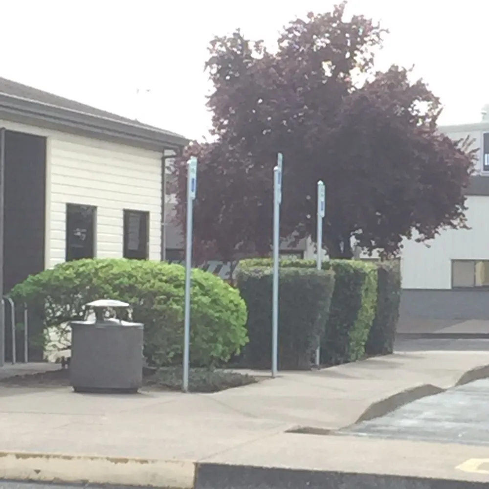 Expert residential landscaping for year-round maintenance in Springfield, OR by M & I Lawn and Landscape