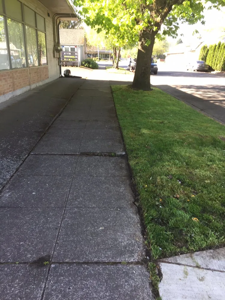 Local landscape design in Springfield, OR by M & I Lawn and Landscape