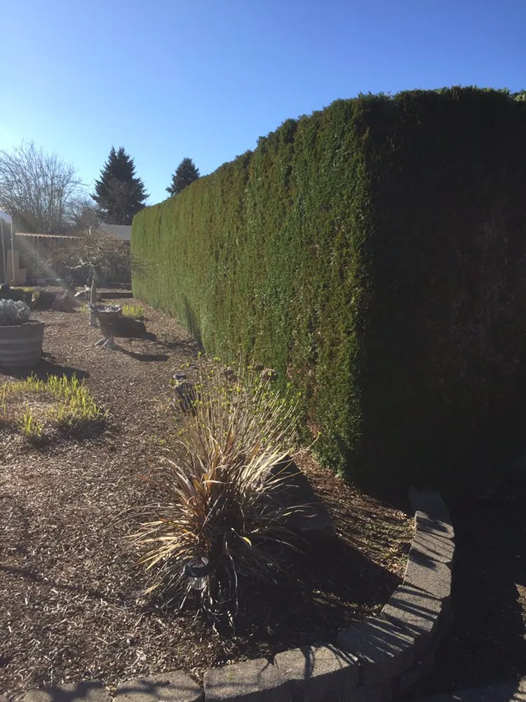 Professional garden landscaping in Springfield, OR by M & I Lawn and Landscape
