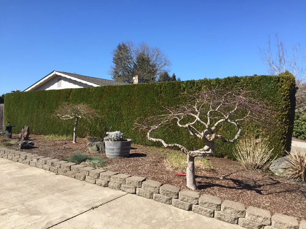 Custom residential landscaping in Springfield, OR - M & I Lawn and Landscape