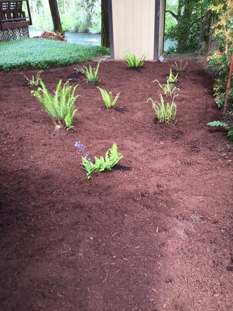 Local outdoor landscaping in Springfield, OR - M & I Lawn and Landscape