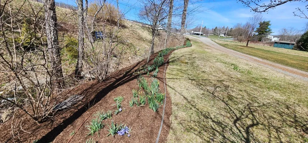 Top-rated lawn care service experts serving Wappingers Falls, NY - M & I Palma Landscaping