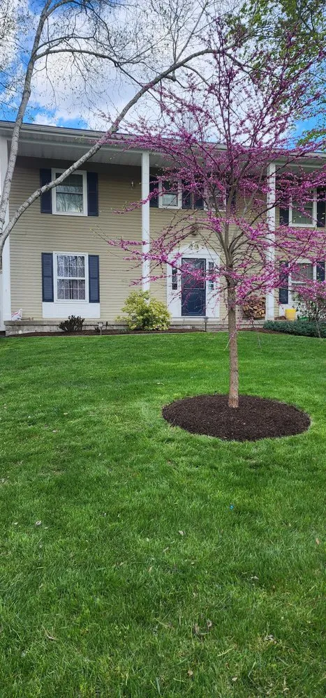 Expert lawn mowing service in Wappingers Falls, NY - M & I Palma Landscaping