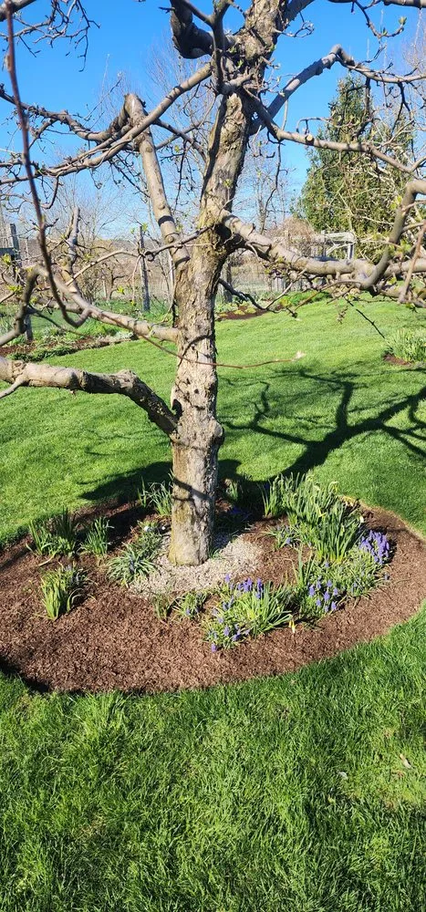 Top-rated landscape design experts serving Wappingers Falls, NY - M & I Palma Landscaping