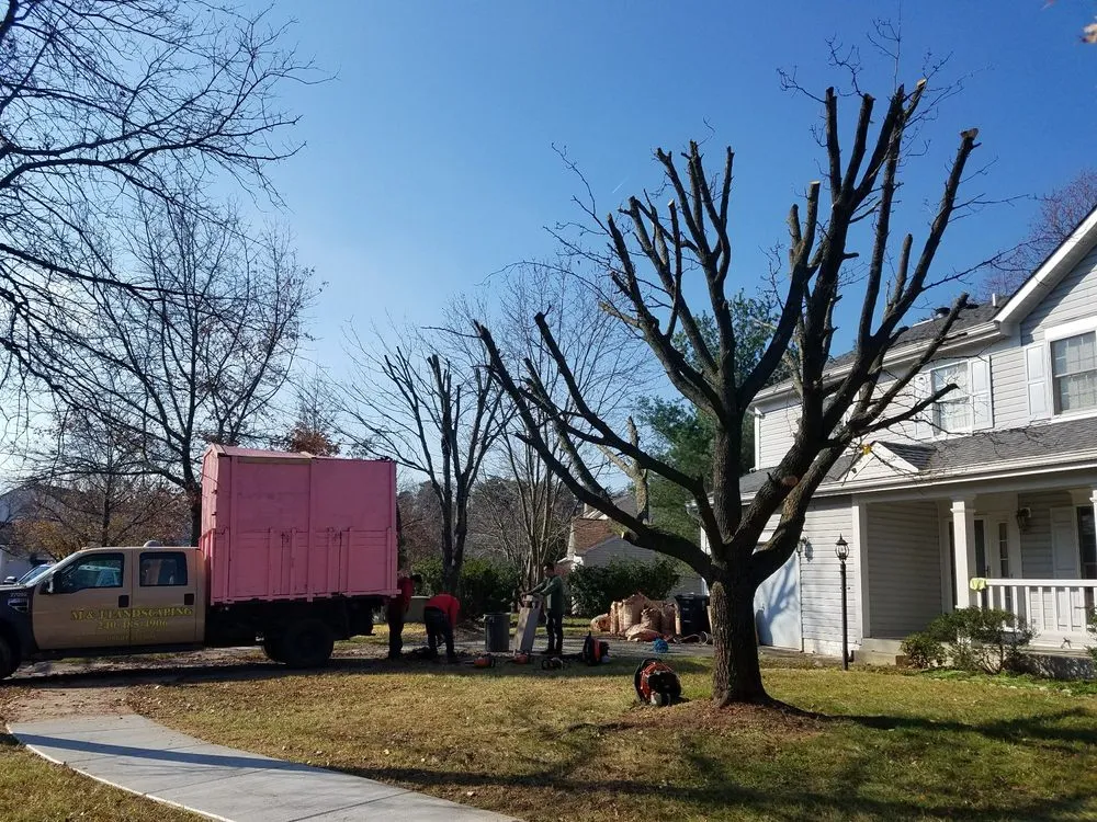 Top-rated outdoor landscaping with custom design in Laurel, MD by M & J Landscaping