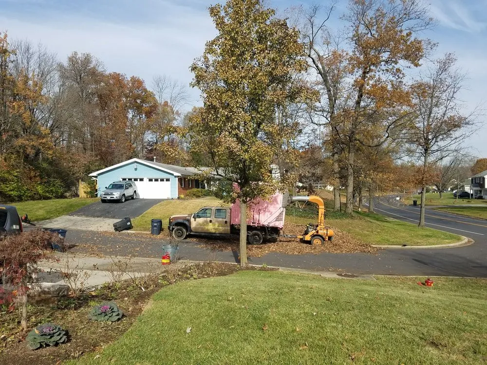 Trusted landscape design for beautiful yards in Laurel, MD by M & J Landscaping