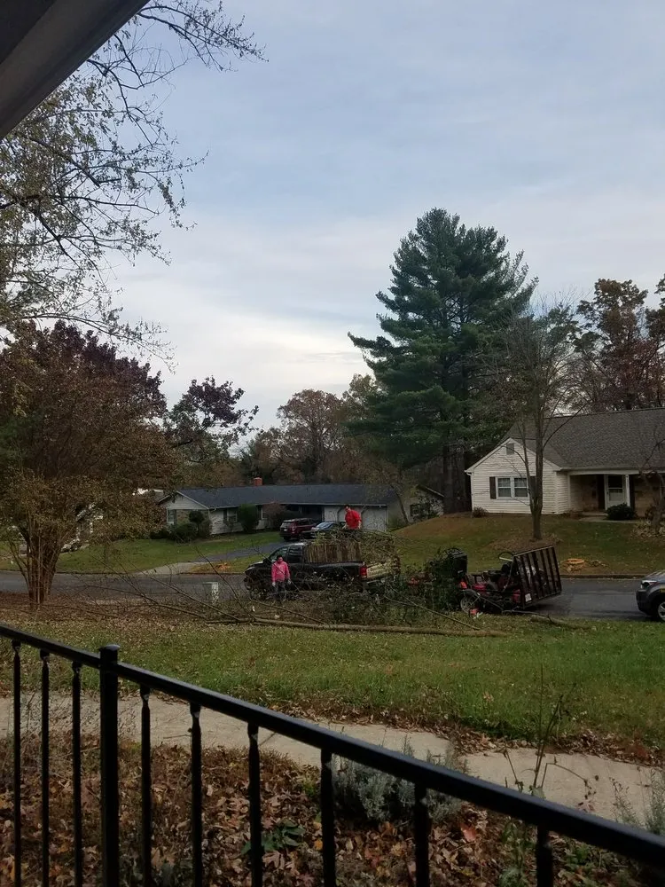 Local outdoor landscaping near you in Laurel, MD by M & J Landscaping