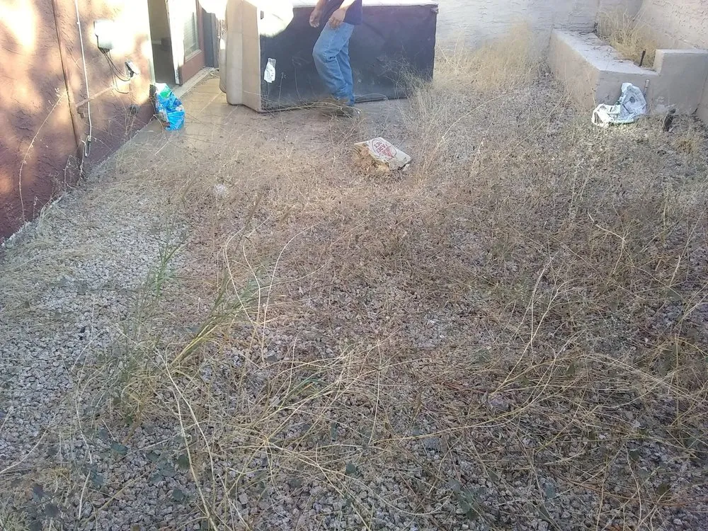 Expert yard cleanup service for beautiful yards across Queen Creek, AZ - M & J Landscaping Management