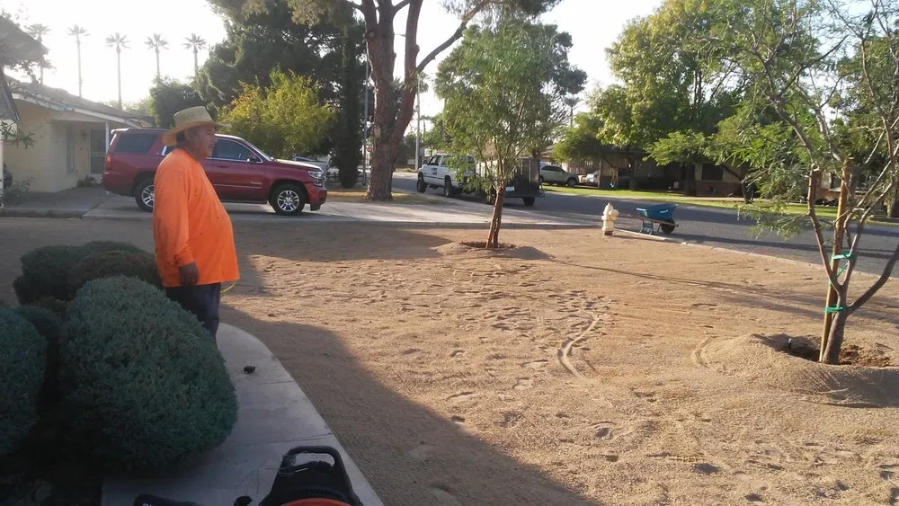 Reliable landscaping services experts serving Queen Creek, AZ - M & J Landscaping Management