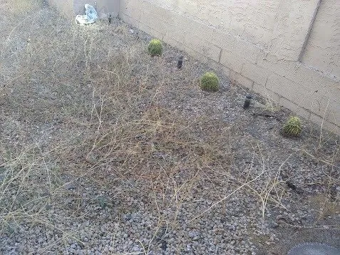 Expert yard maintenance for residential properties across Queen Creek, AZ - M & J Landscaping Management