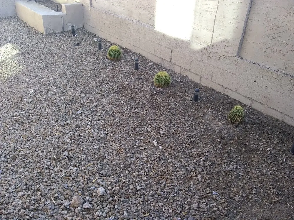 Trusted lawn care service for beautiful yards across Queen Creek, AZ - M & J Landscaping Management