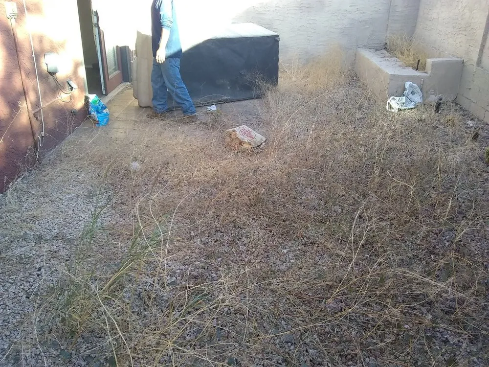 Trusted outdoor landscaping for residential properties across Queen Creek, AZ - M & J Landscaping Management