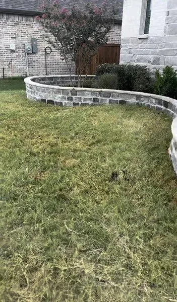 Top-rated yard cleanup service near you across McKinney, TX - M & J Landscaping