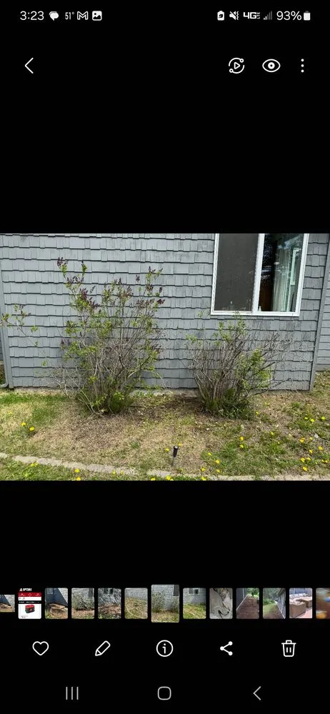 Affordable landscaping services in Sagle, ID by M & J Landscaping Services