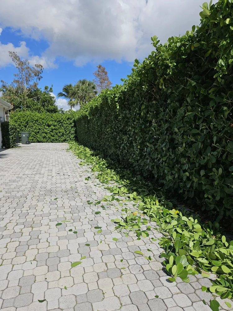 Top-rated lawn care service experts serving Westlake, FL - M & K Gardens Services