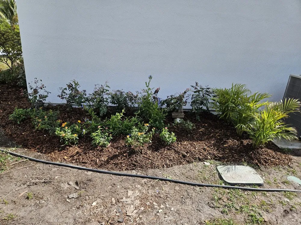 Expert landscaping services for homes across Westlake, FL - M & K Gardens Services