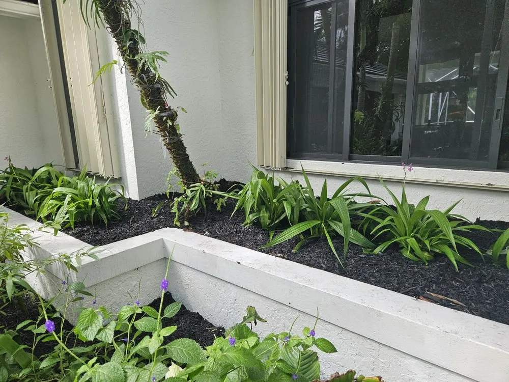 Custom yard cleanup service in Westlake, FL by M & K Gardens Services