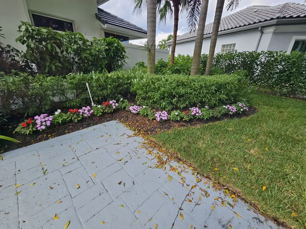 Trusted yard maintenance in Westlake, FL by M & K Gardens Services