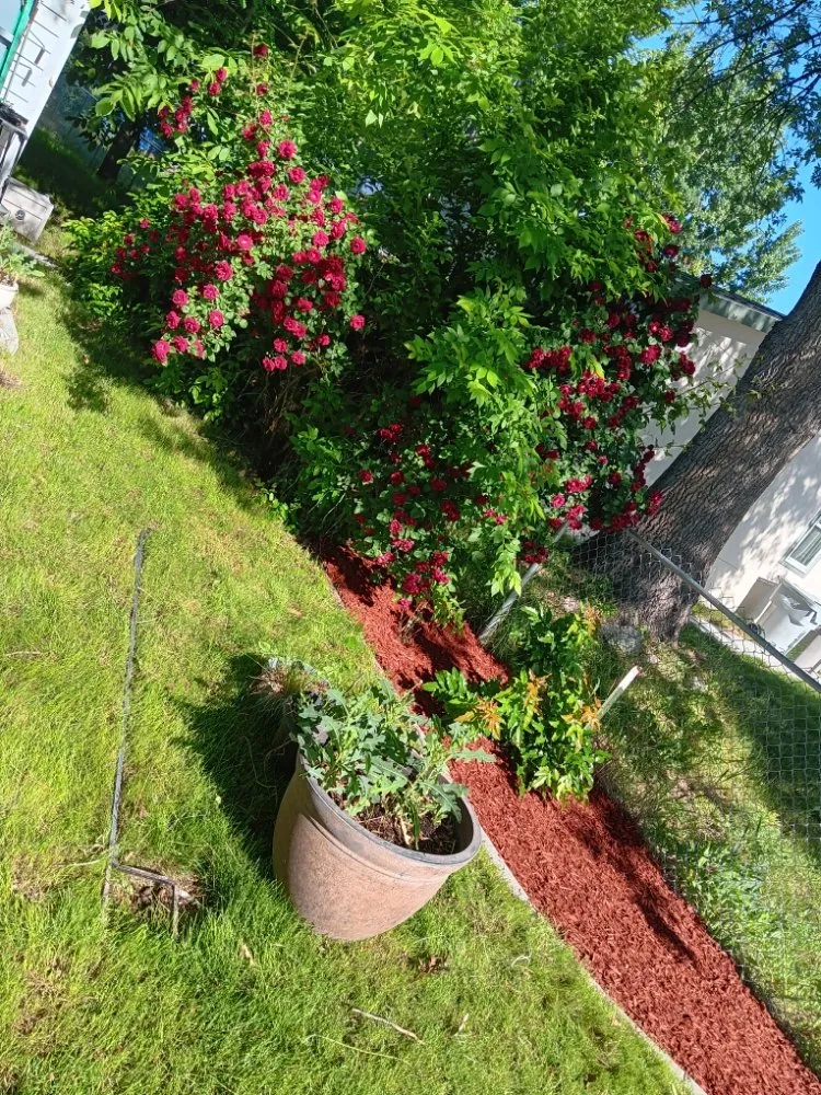 Trusted outdoor landscaping in Boise, ID - M & L All Around Services