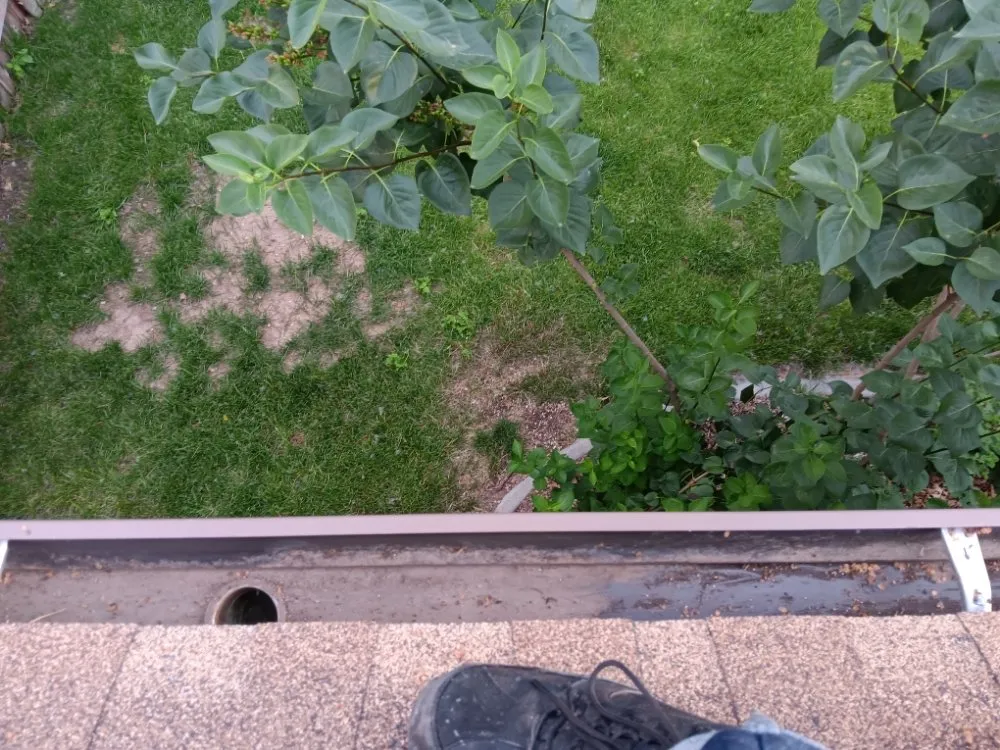 Reliable lawn care service experts serving Boise, ID - M & L All Around Services