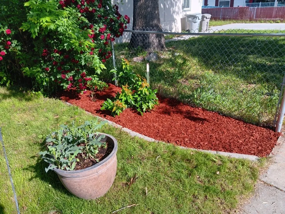 Local yard cleanup service in Boise, ID - M & L All Around Services