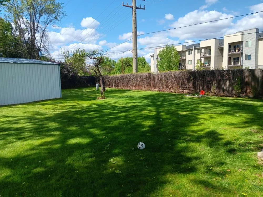 Reliable lawn mowing service experts serving Boise, ID - M & L All Around Services