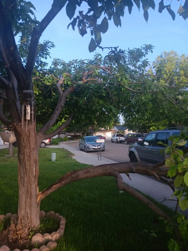 Professional outdoor landscaping near you in Boise, ID by M & L All Around Services