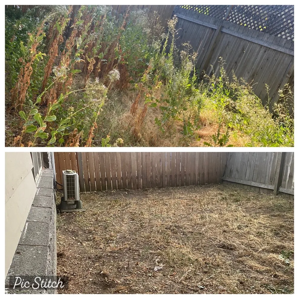 Trusted yard maintenance experts serving Boise, ID - M & L All Around Services