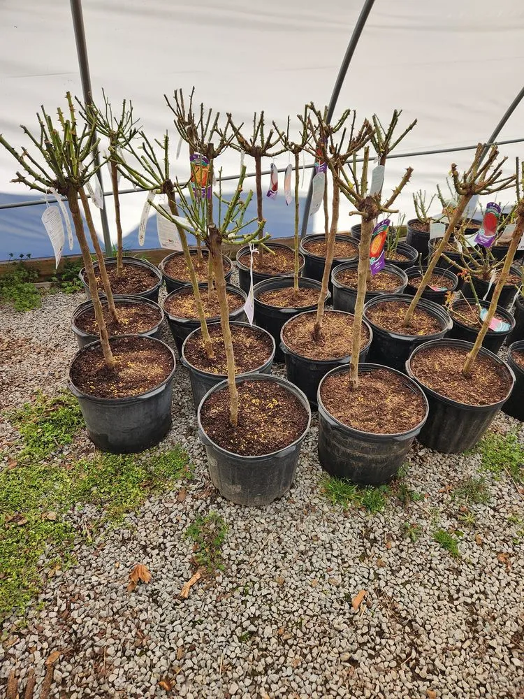 Expert landscape design experts serving Shelbyville, TN - M & L Greenhouse