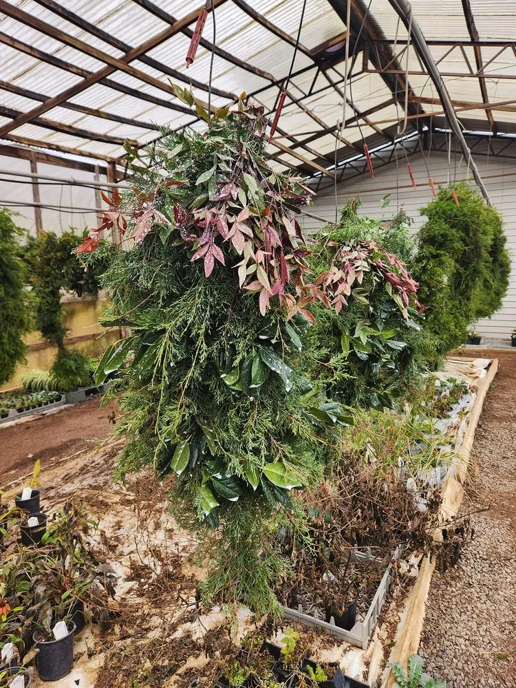 Expert outdoor landscaping in Shelbyville, TN - M & L Greenhouse