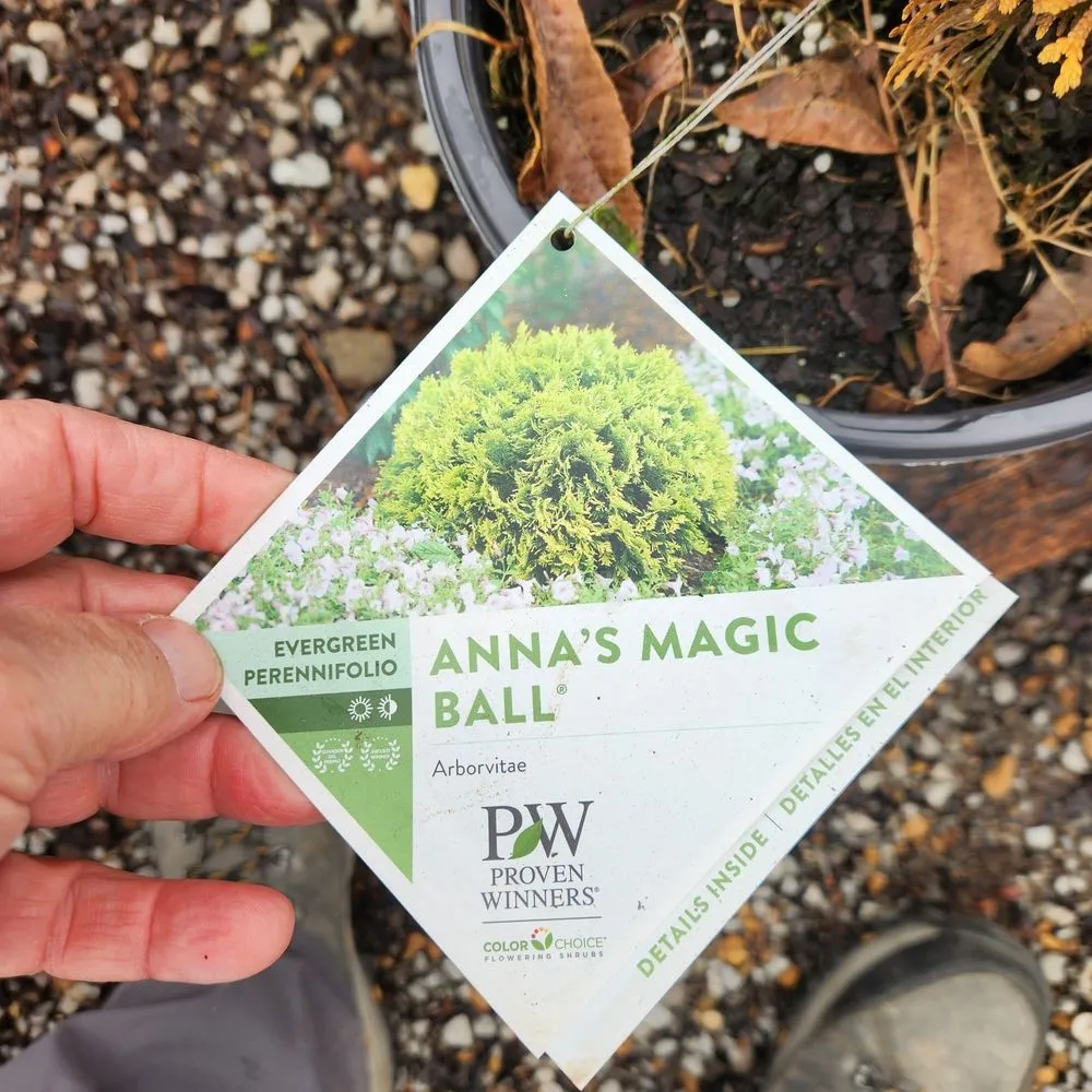 Local landscape design in Shelbyville, TN by M & L Greenhouse