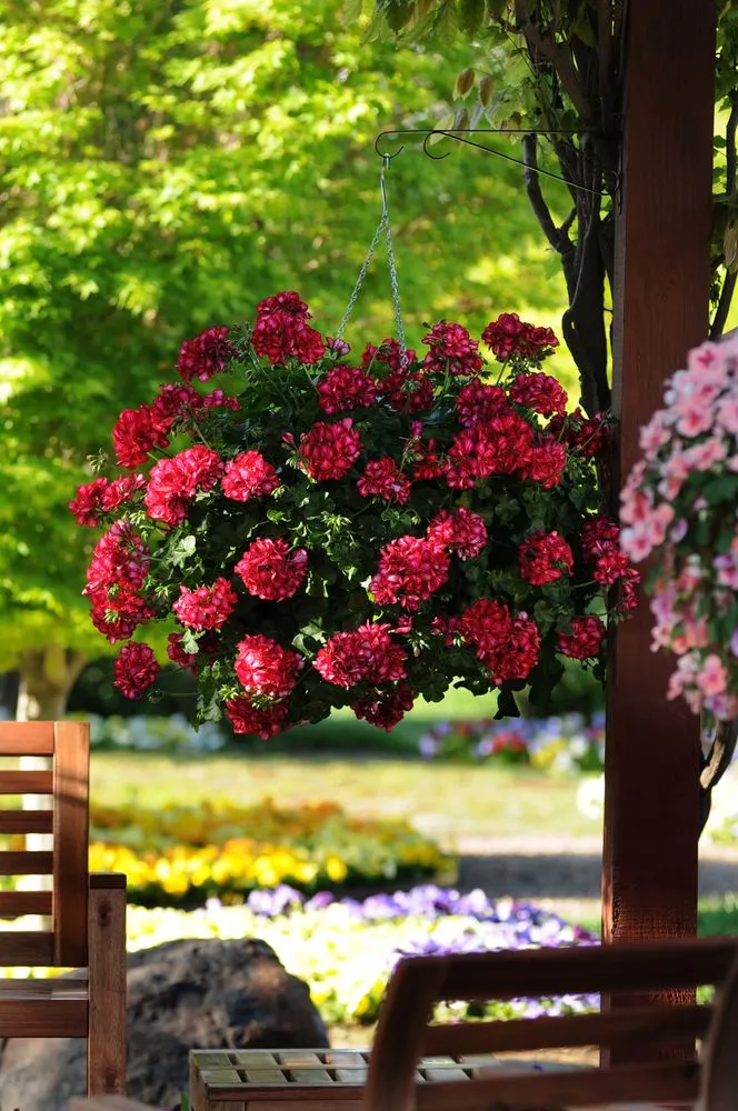 Affordable lawn mowing service for outdoor upgrades across Shelbyville, TN - M & L Greenhouse